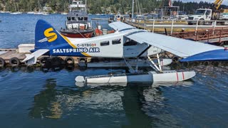 Seaplane in a harbor