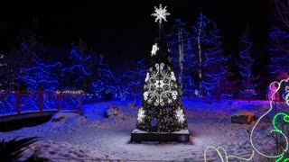 A lit up christmas tree at the Calgary zoo